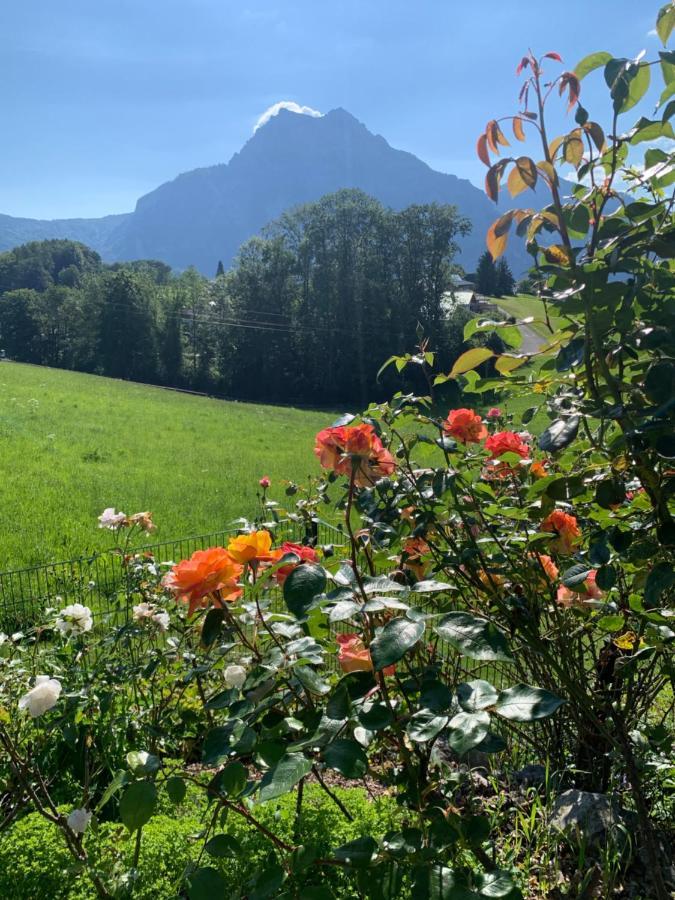 Kainzleitenhof Nachdemsee المظهر الخارجي الصورة