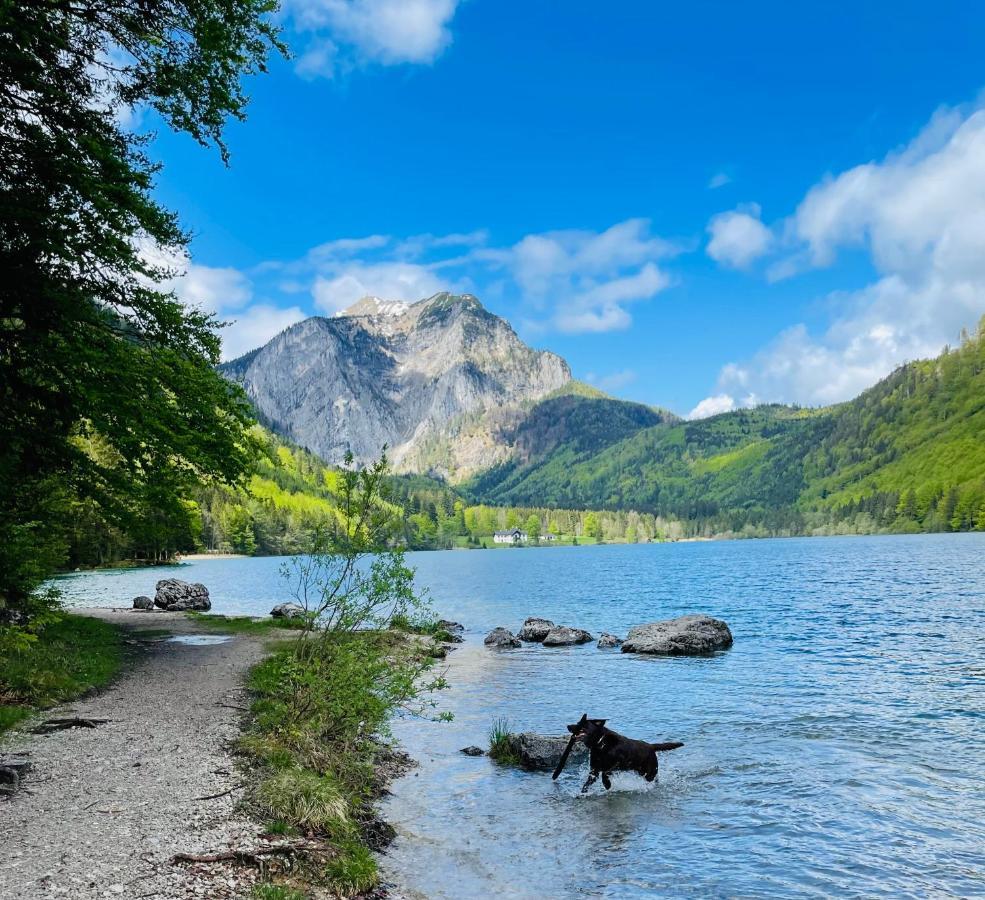 Kainzleitenhof Nachdemsee المظهر الخارجي الصورة